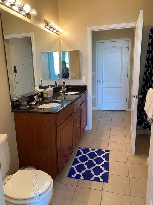 Comfortable Apartment, Close To World